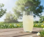 Verre à Eau et Jus 300 ml - Gamme Oca par Nadir